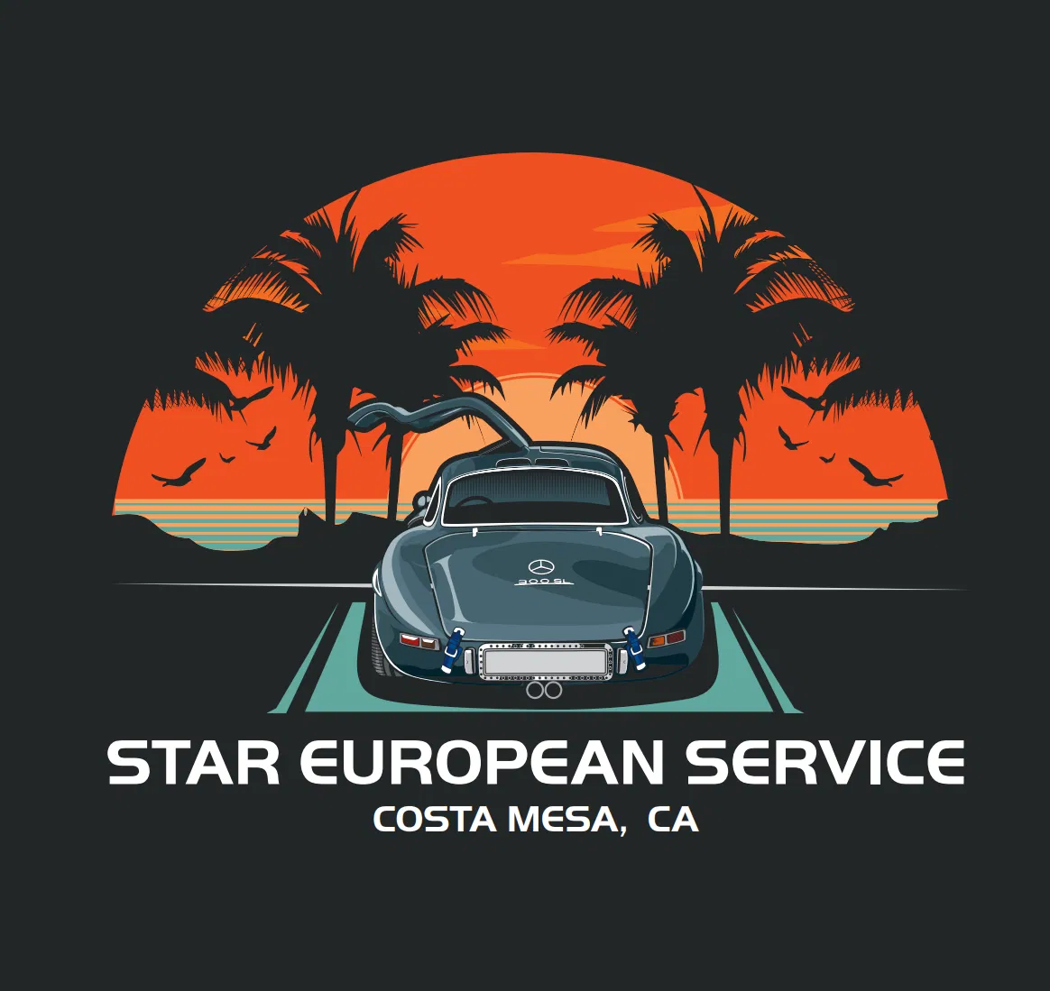 Star European Autos